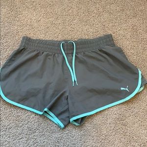 Puma shorts (like Norts )